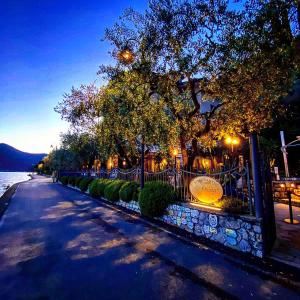 蒙泰伊索拉蒙泰伊索拉森林酒店的一条树木繁茂的街道和灯光围栏