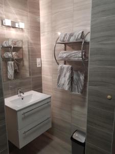 赫维兹Flamingó Apartmanház的浴室配有盥洗盆、卫生间和毛巾。