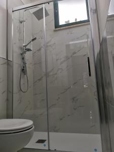比谢列Il Gabbiano casa al mare的浴室设有玻璃淋浴间和卫生间
