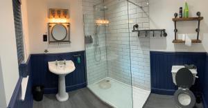 埃克塞特Seven Stars Boutique Guesthouse的浴室配有卫生间、盥洗盆和淋浴。