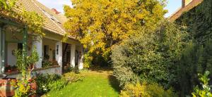 BakonyszücsÉgkőris Vendégház的树叶黄色的房子