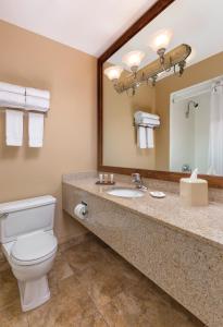 棕榈泉WorldMark Palm Springs - Plaza Resort and Spa的一间带卫生间和大镜子的浴室