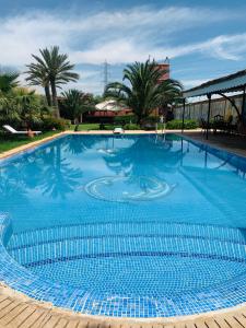 BerrechidEqui Palace & SPA Near Aeroport的一个种有棕榈树的大型蓝色游泳池