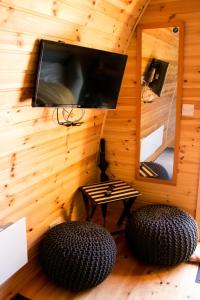 凯尔斯Log cabin的一间配有电视、两张长椅和镜子的客房