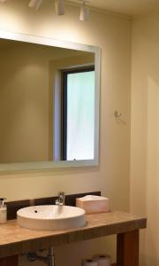 克伦威尔伯恩小屋乡村民宿的一间带水槽和镜子的浴室