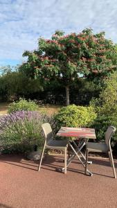 奥尔瓦勒Fasthotel Saint-Amand-Montrond Orval的两把椅子和一张桌子,还有一棵树
