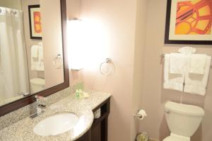 休斯顿韦斯特韦公园西休斯顿假日酒店的一间带水槽、卫生间和镜子的浴室