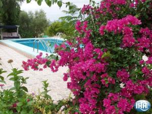 Fenazar米坎普乡村民宿的游泳池旁的粉红色花丛