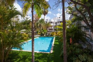 圣克鲁斯-德特内里费科隆兰布拉酒店的一座楼前种有棕榈树的游泳池