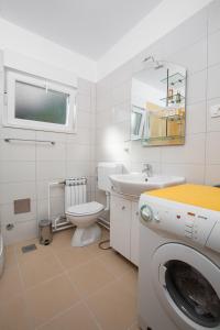 洛夫兰佩皮公寓的浴室配有卫生间水槽和洗衣机。