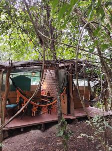 戈亚斯州上帕莱索Mariri Jungle Lodge的树林里带门廊的树屋
