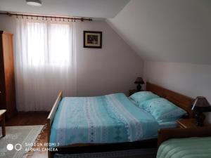 莫克拉戈拉Apartman Ana的一间卧室配有一张带蓝色床单的床和一扇窗户。