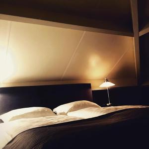 德里默伦Bed and Breakfast De Biesbosch - in 't Riet的一间卧室配有一张带床头板和灯的床