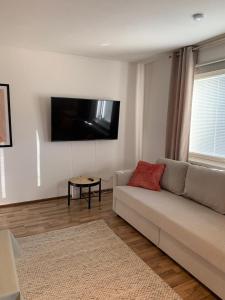 凯米Cosy apartment in the city center的客厅配有沙发和墙上的电视