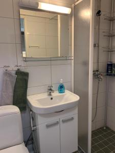凯米Cosy apartment in the city center的一间带水槽、卫生间和镜子的浴室