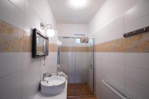 鲍道乔尼特尔代米茨Miliő Apartman Badacsony的一间带水槽和淋浴的浴室
