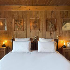 多尔戈利斯Domaine de Sault的木墙客房的一张带白色枕头的床