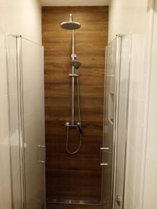 科尔丘拉阳光城公寓的带淋浴的浴室(带木墙)