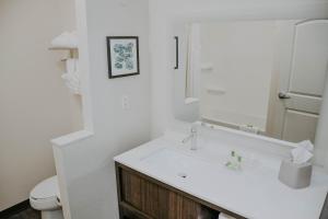 奥马哈Holiday Inn Omaha Downtown - Waterpark, an IHG Hotel的白色的浴室设有水槽和卫生间。