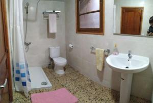 CabacésCasa la Canal的一间带水槽、卫生间和淋浴的浴室