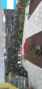 PortelaCiza e Rose的花在石墙上的花园