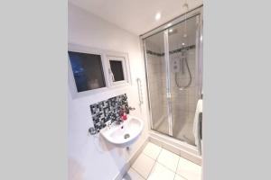 诺丁汉Private Comfortable Guest Suite - Nottingham的一间带水槽和淋浴的浴室