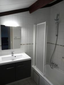 米德尔克尔克Strandjutter huisje 8的浴室配有盥洗盆和带镜子的淋浴