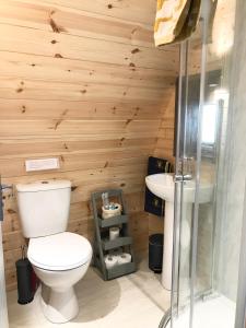 恩尼斯基林Lough Erne Glamping Pod的一间带卫生间和水槽的浴室