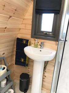 Lough Erne Glamping Pod的一间浴室