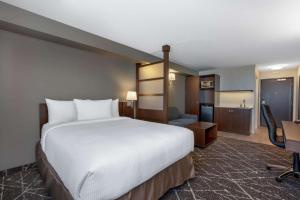 波蒂奇拉普雷里Microtel Inn & Suites by Wyndham Portage La Prairie的酒店客房设有一张大床和一张书桌。