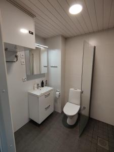 图尔库Vaunukatu的一间带卫生间和水槽的浴室