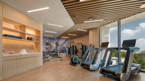 北京亦庄通明湖智选假日酒店的健身中心和/或健身设施