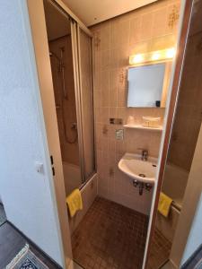 RehauHotel & Restaurant Krone的带淋浴、盥洗盆和镜子的浴室