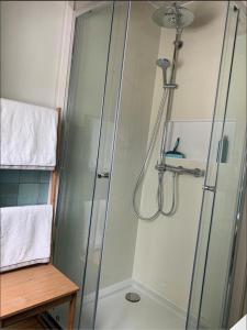 Vakantiehuis in Friesland met boot的带淋浴的浴室和玻璃门