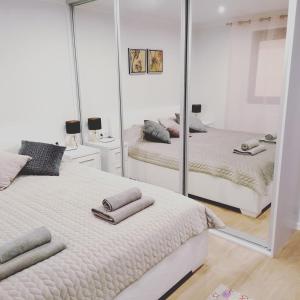 尤卡尔内Zemzari的一间卧室设有两张床和大镜子