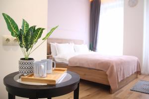 第比利斯Parilament on Rustaveli 4 rooms的一间卧室配有一张床和一张带盆栽的桌子