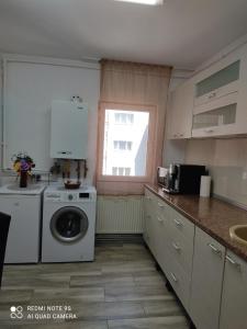 克卢日-纳波卡Apartment Farmec的厨房配有洗衣机和窗户。