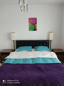 克卢日-纳波卡Apartment Farmec的一间卧室配有一张带紫色和白色棉被的床