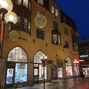 厄斯特松德Leopold Boutique Hotel的建筑的侧面带有圣诞装饰