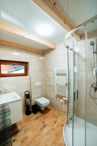 什切尔克Polana Suche的带淋浴、卫生间和盥洗盆的浴室
