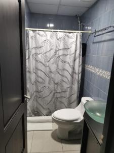 福尔图纳Hotel Palmera Real Hot Springs的浴室设有淋浴帘、卫生间和水槽