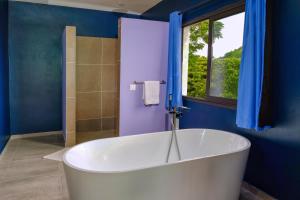 阿姆巴托洛阿卡Hôtel Villa Les Orchidées的带窗户的蓝色浴室内的白色浴缸