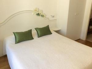 科内利亚诺Locanda Mezzosale的一张带两个绿色枕头的白色床
