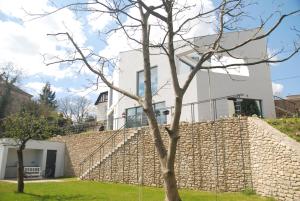 库特纳霍拉Crystal Studio的一座石墙和一棵树的房子