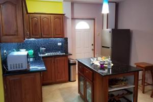 斯卡伯勒Shalom apartment的厨房配有冰箱和台面