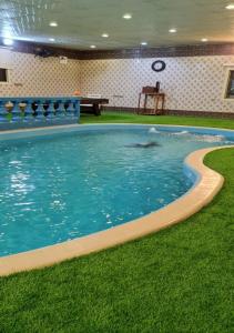 塔伊夫Al Moltaqua Chalet的海水中海豚游泳池