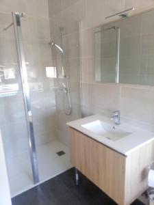 蒙夫朗屈安拉巴斯蒂德奥里维罗基斯酒店的带淋浴、盥洗盆和淋浴的浴室