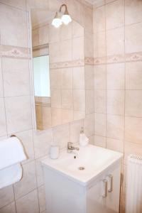 佐尔尼耶戈迪M&M Apartment的一间带水槽和镜子的浴室