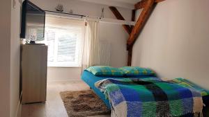 瓦尔米亚地区利兹巴克Kamienica "Pod dębem"的一间卧室设有一张床、一台电视和一个窗口。