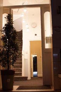 伦敦广场酒店的走廊里,有楼梯的盆子里的一个植物